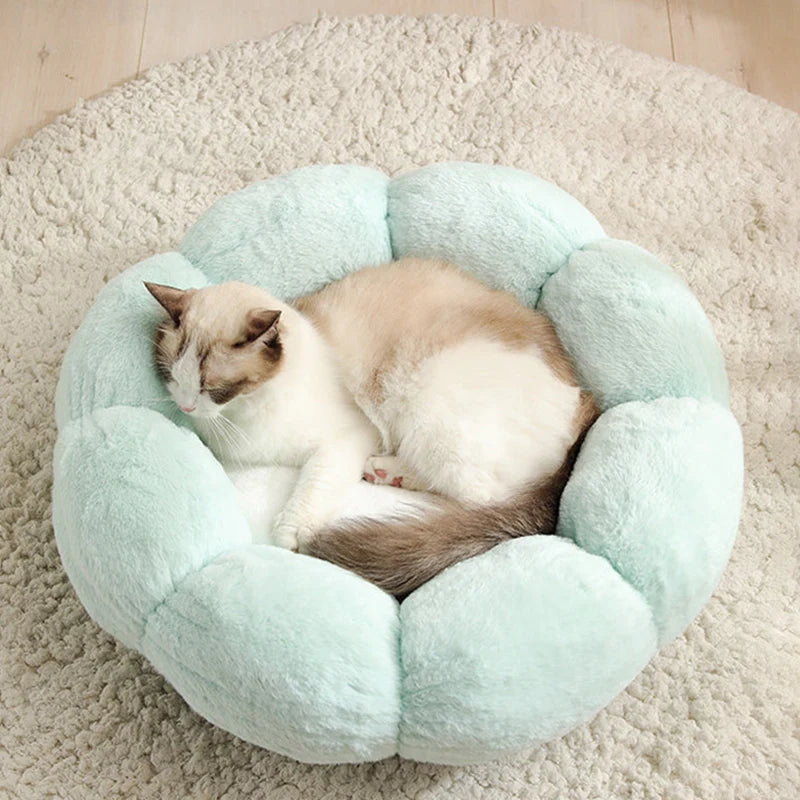 Astraltail Flower Shaped Cat Bed