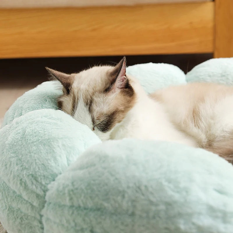 Astraltail Flower Shaped Cat Bed