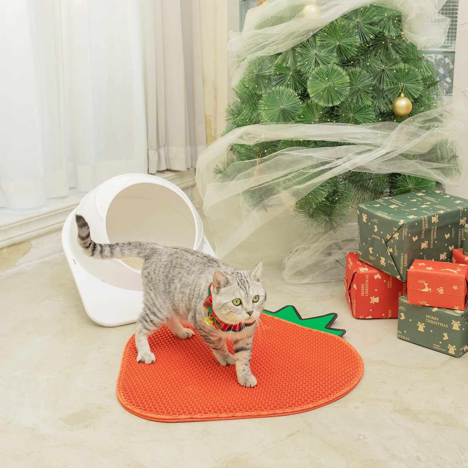 Essential Holiday Set: Clean & Cozy Gift for Your Cat