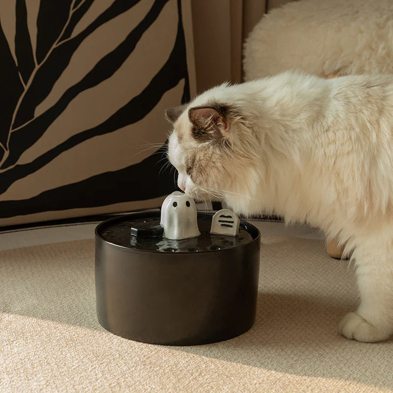 Astraltail Ghost Drinking Fountain-Elevate Your Cat's Hydration