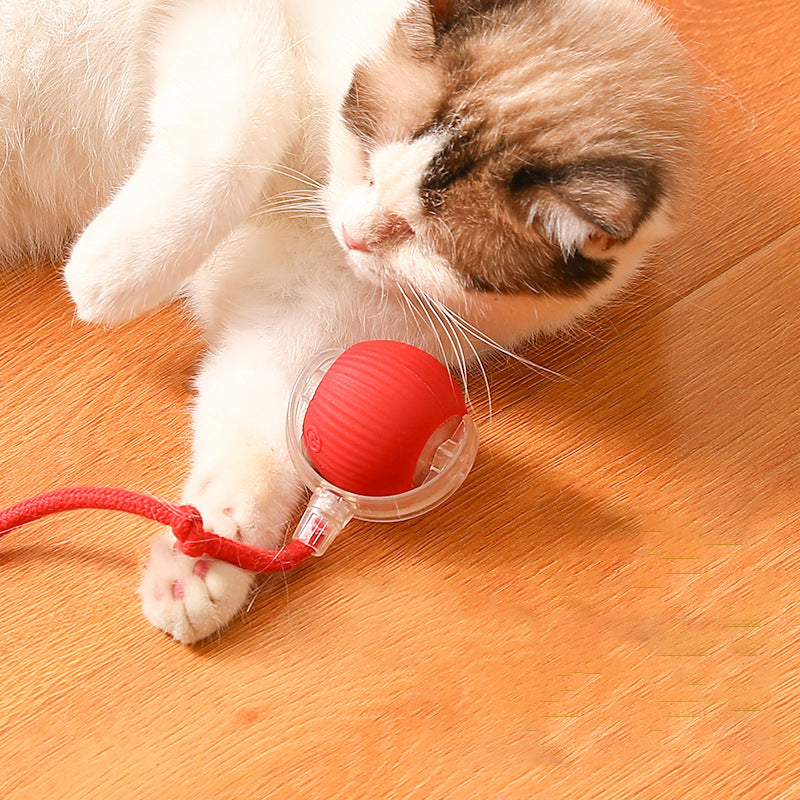 Automatic Cat Teaser Ball - Interactive Toy for Cats