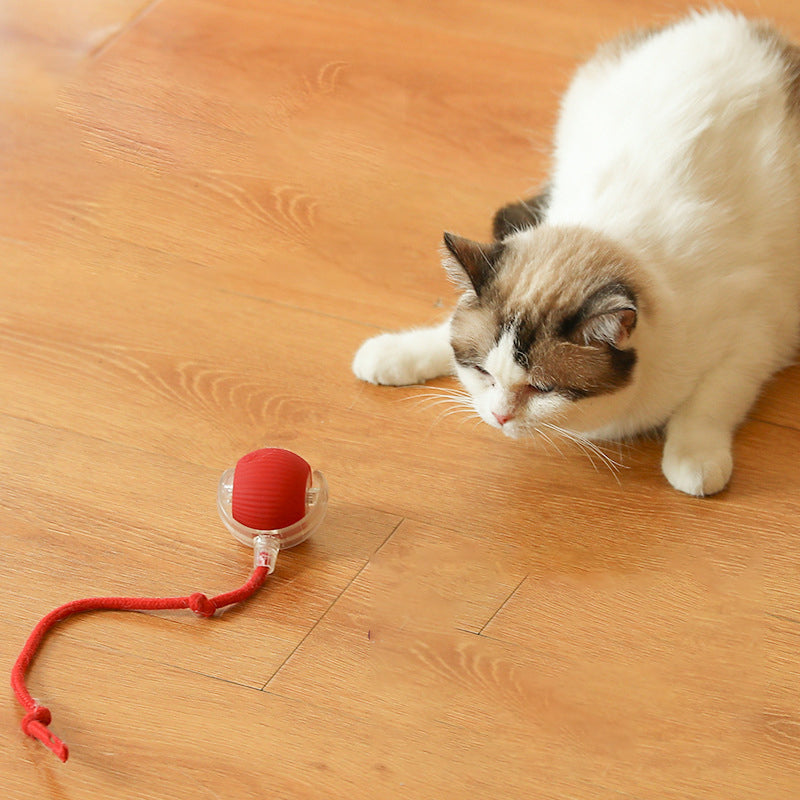 Automatic Cat Teaser Ball - Interactive Toy for Cats