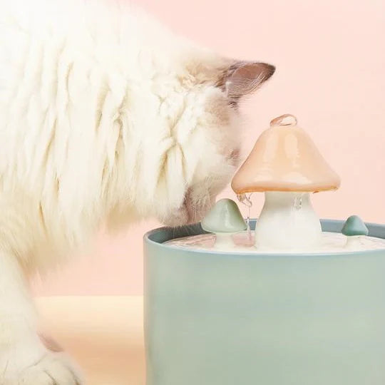 Astraltail Mushroom Cat Water Fountain