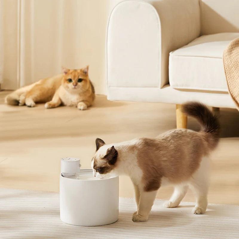 Astraltail Automatic Cat Water Fountain