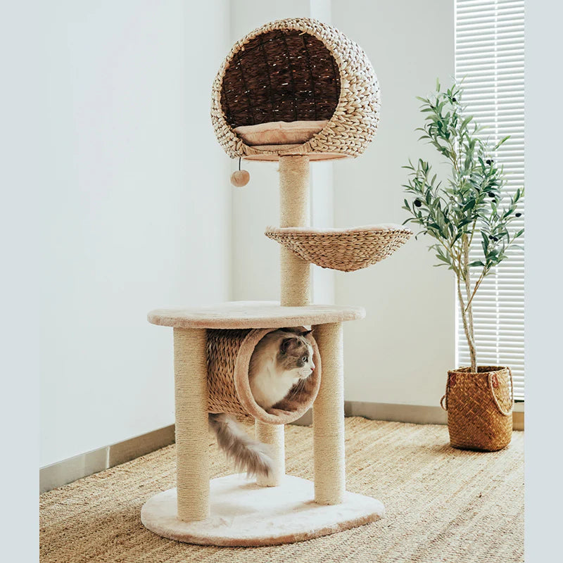 Astraltail Bird Nest Cat Tree