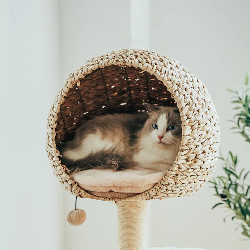 Astraltail Bird Nest Cat Tree