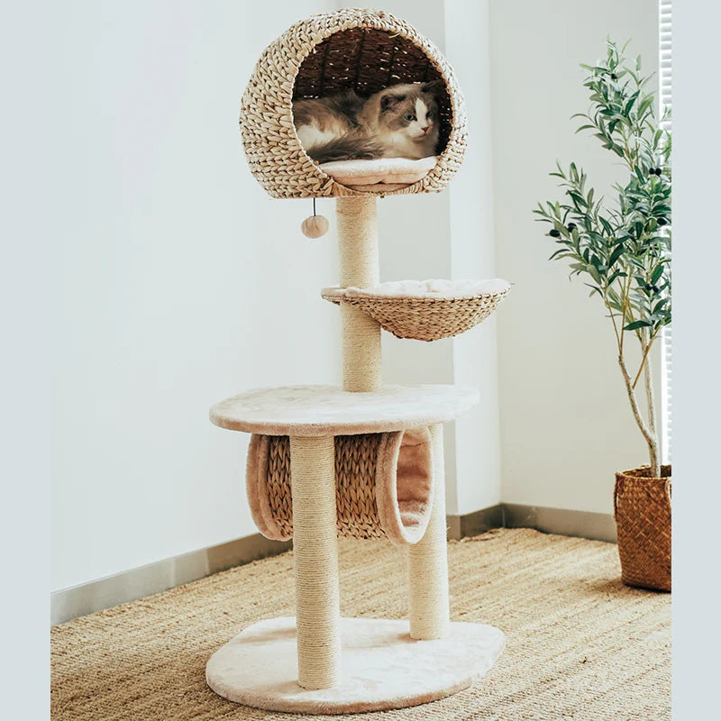 Astraltail Bird Nest Cat Tree