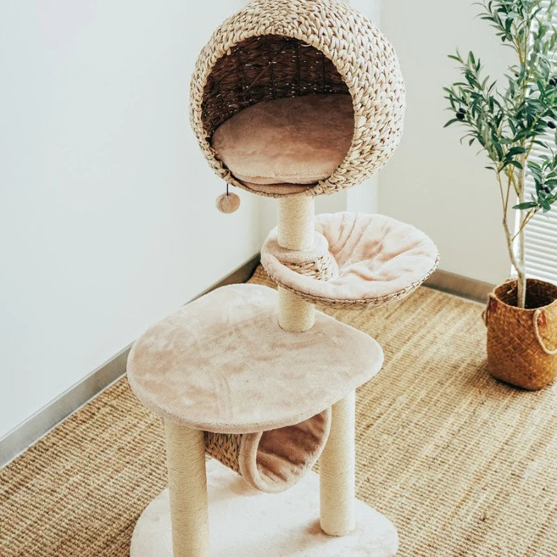 Astraltail Bird Nest Cat Tree