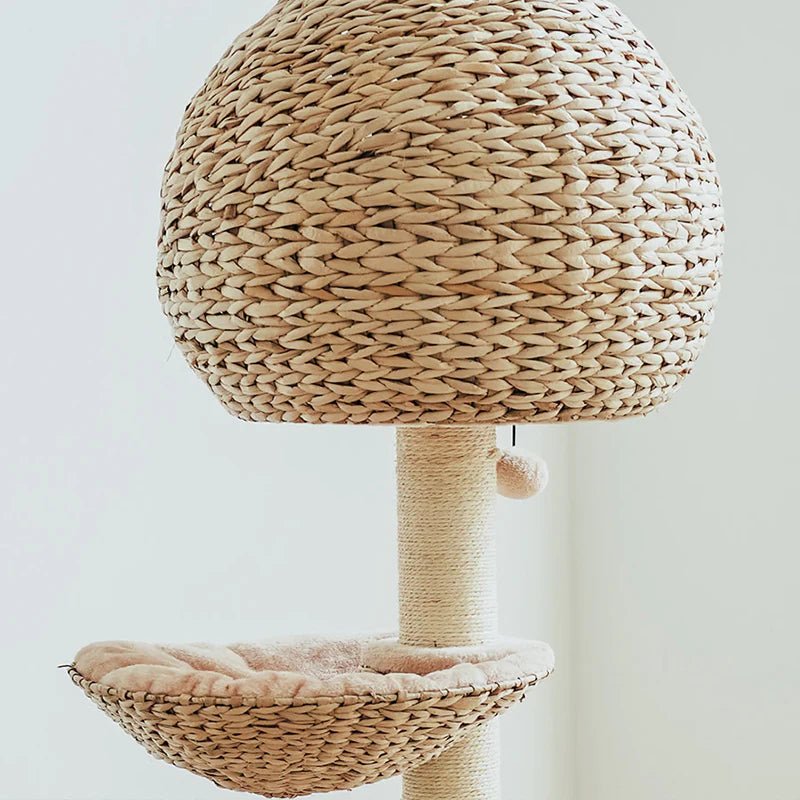 Astraltail Bird Nest Cat Tree