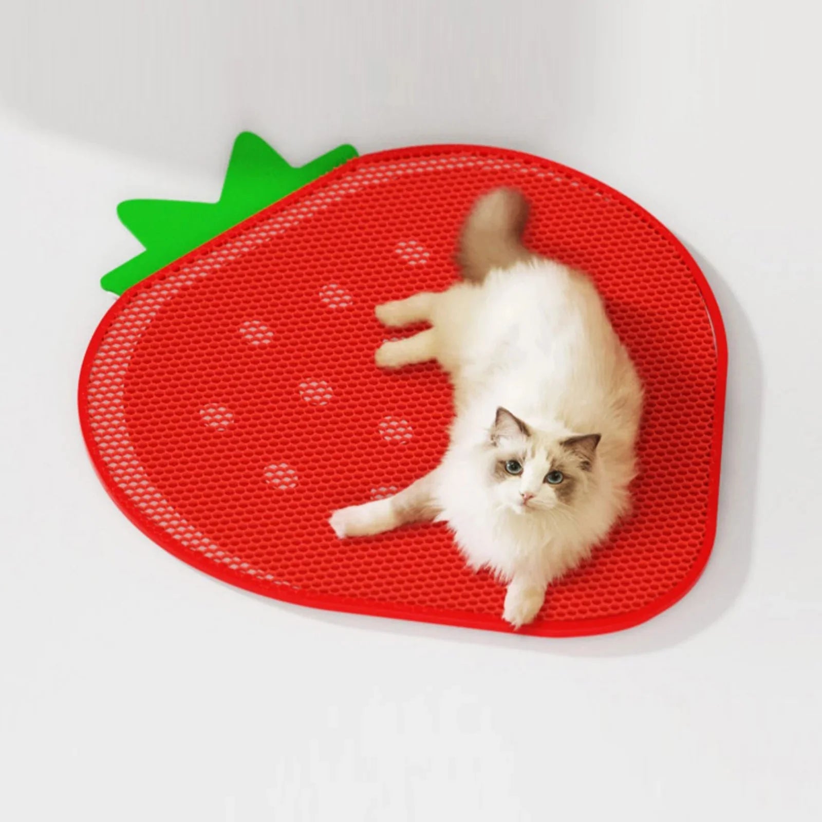 Essential Holiday Set: Clean & Cozy Gift for Your Cat