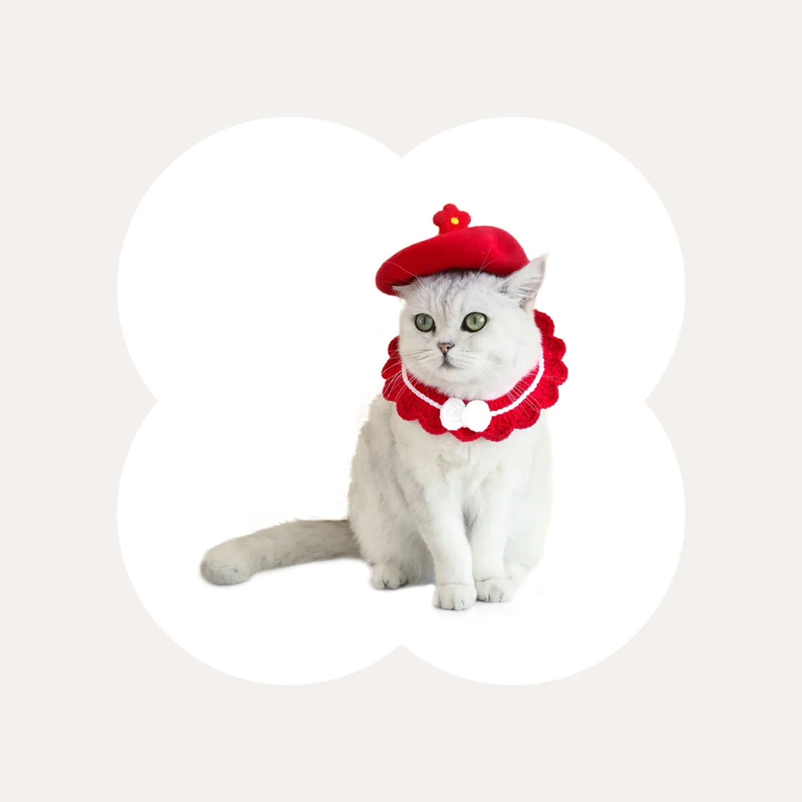 Astraltail Christmas Stylish Floral Cat Beret