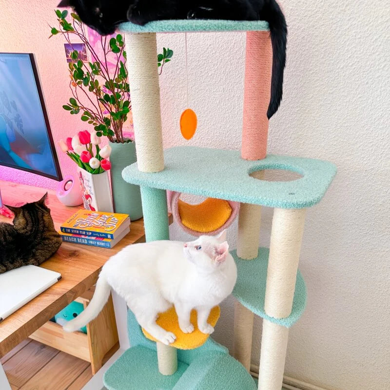 Astraltail Upgraded Wonderland Cat Tree-XL